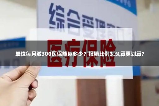 单位每月缴300医保能返多少？报销比例怎么算更划算？
